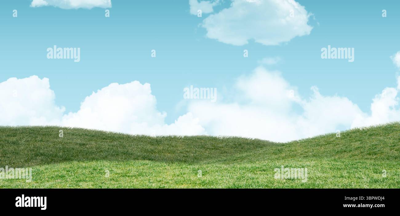 L'erba verde copre la collina ondulata in un prato dal design piatto sotto il cielo blu con nuvole bianche Foto Stock