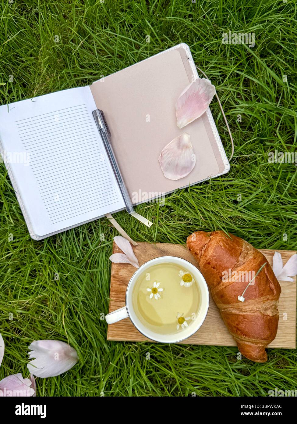 Quaderno con croissant e tè di camomilla sull'erba. Rituale mattutino dell'intenzione ambientato in una natura tranquilla Foto Stock