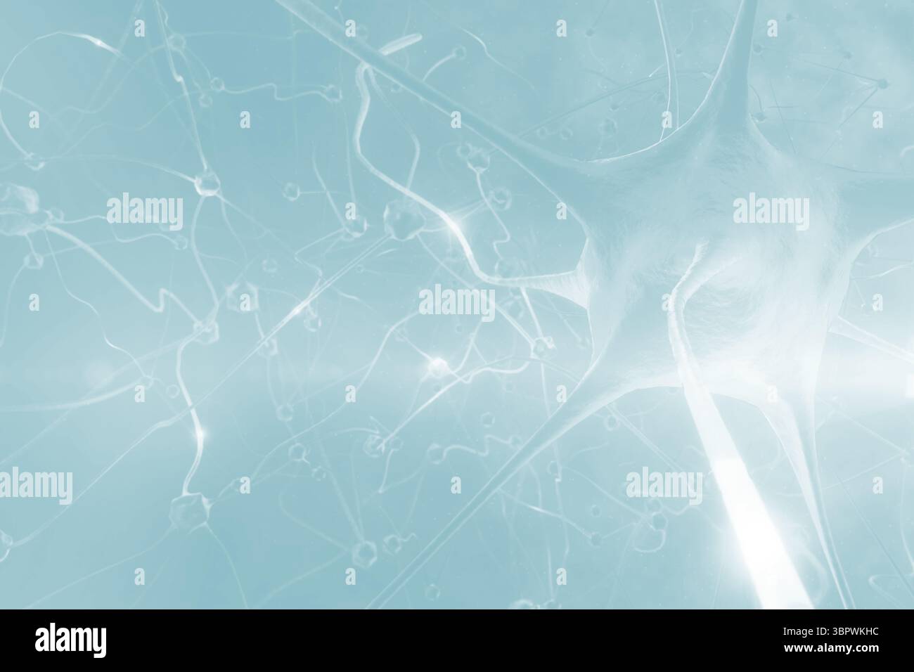 Immagine a tre dimensioni di un microrganismo Foto Stock