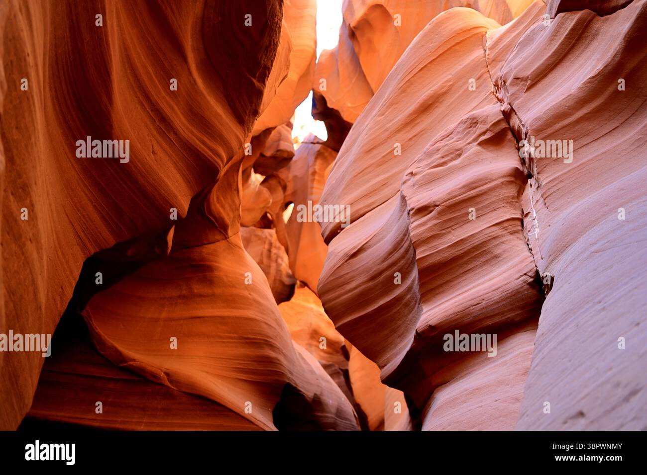 La luce del sole filtra attraverso le strette pareti dell'Antelope Canyon a Page, Arizona, evidenziando le curve lisce di arenaria arancione e rossa scolpite dal vento e dall'acqua. Foto Stock