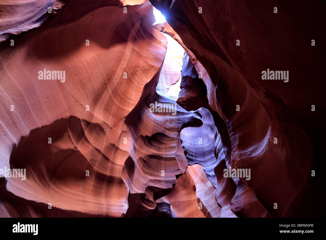 La luce filtra attraverso le strette pareti di arenaria dell'Antelope Canyon svelando le vorticose curve rosse e arancioni scolpite dall'antico flusso d'acqua a Page, Arizona. Foto Stock