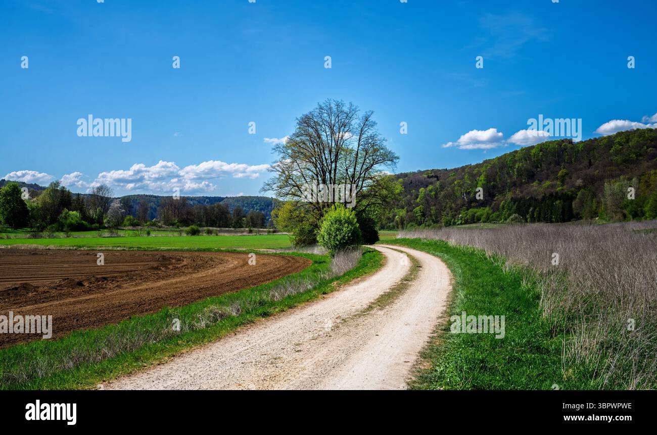 Paesaggio idilliaco nella valle dello Shtuttertal vicino a Neuburg Foto Stock