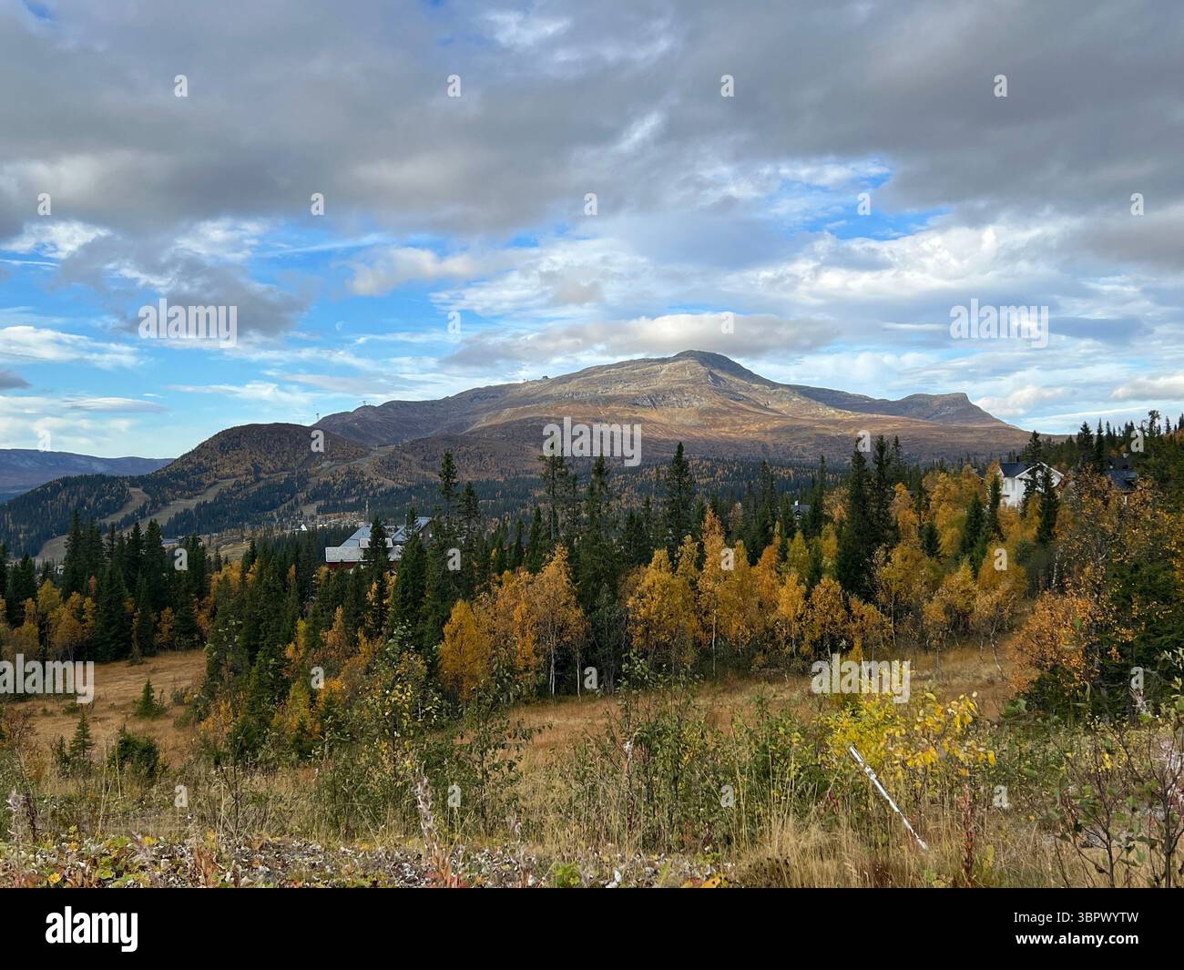 Splendida vista sulle montagne e sulle foreste durante la stagione autunnale. - Immagine stock catturata con smartphone