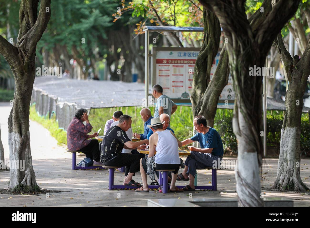 Chongqing. 3 luglio 2025. Le persone riposano su una riva del fiume nel distretto di Jiangjin, nella municipalità di Chongqing, nel sud-ovest della Cina, 3 luglio 2025. Jiangjin si trova in un punto strategico lungo il fiume Yangtze. Gli edifici cittadini sono stati costruiti lungo le pendici sulle rive del fiume. Da lontano, sembrano una foresta che cresce dalle scogliere. Negli ultimi anni, Jiangjin ha promosso la gestione ecologica del fiume Yangtze. Il miglioramento della qualità dell'acqua ha attratto le specie ittiche rare a ritornare. Crediti: Huang Wei/Xinhua/Alamy Live News Foto Stock