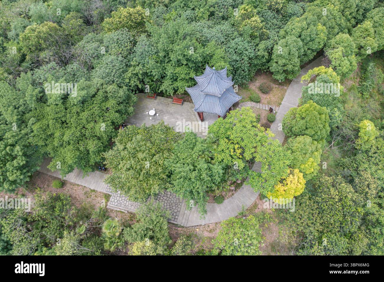 (250710) -- CHONGQING, 10 luglio 2025 (Xinhua) -- questa foto aerea del drone scattata il 3 luglio 2025 mostra la vista di un parco nel distretto di Jiangjin, nel comune di Chongqing della Cina sud-occidentale. Jiangjin si trova in un punto strategico lungo il fiume Yangtze. Gli edifici cittadini sono stati costruiti lungo le pendici sulle rive del fiume. Da lontano, sembrano una foresta che cresce dalle scogliere. Negli ultimi anni, Jiangjin ha promosso la gestione ecologica del fiume Yangtze. Il miglioramento della qualità dell'acqua ha attratto le specie ittiche rare a ritornare. (Xinhua/Huang Wei) Foto Stock