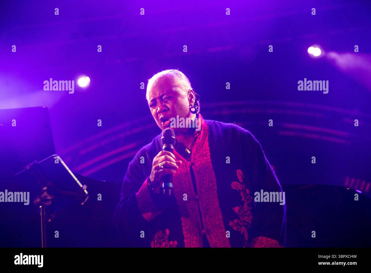 Jarnac au coeur du Blues Foto Stock