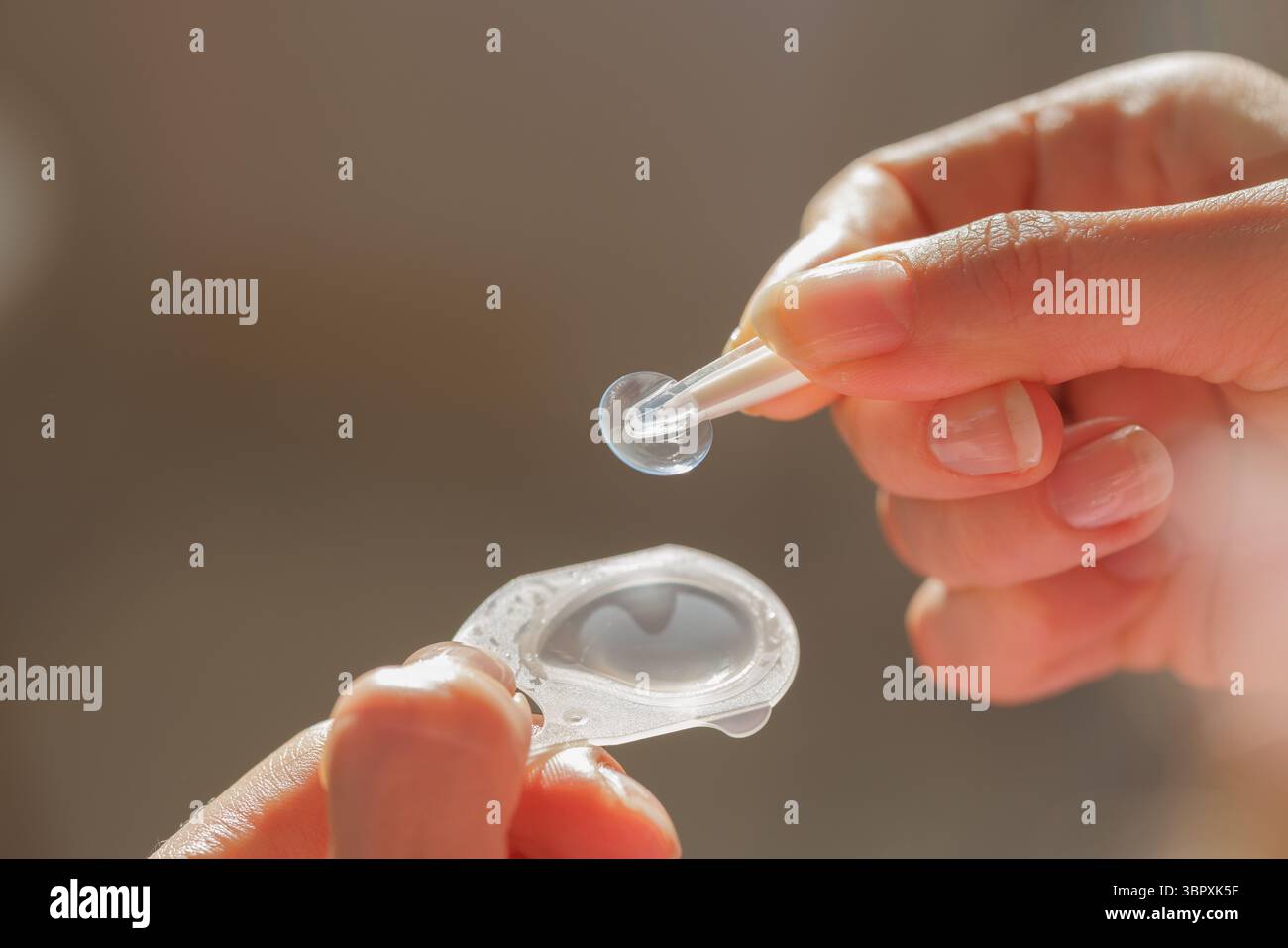 Scatto macro di mani che rimuove la lente a contatto morbida dalla confezione con pinzette per la correzione della vista e la cura degli occhi Foto Stock