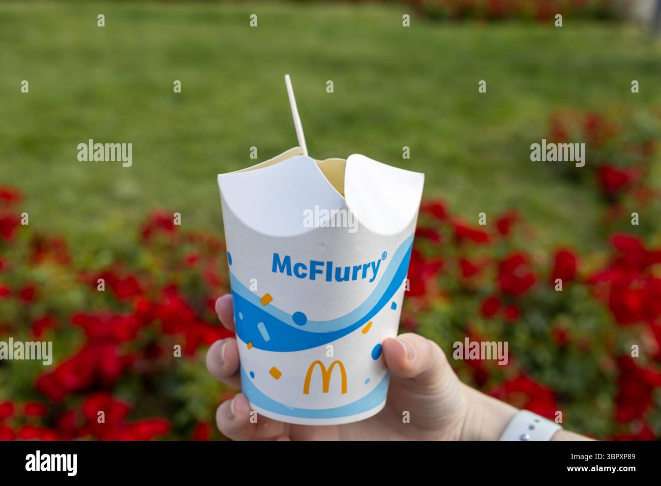 Poznan, Polonia - 18 giugno 2025: Un'iconica tazza McFlurry di McDonald's, tenuta per mano di una persona, all'aperto in una vibrante giornata di sole, che simboleggia un populismo Foto Stock