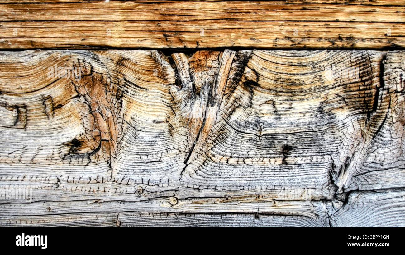sfondo in legno naturale con strutture in legno e fibre di legno con splendidi colori grigio e marrone naturale Foto Stock
