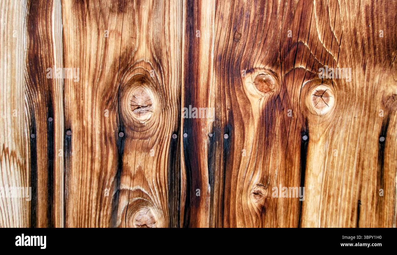 fondo in legno naturale con strutture in legno e fibre di legno dai bellissimi colori naturali Foto Stock