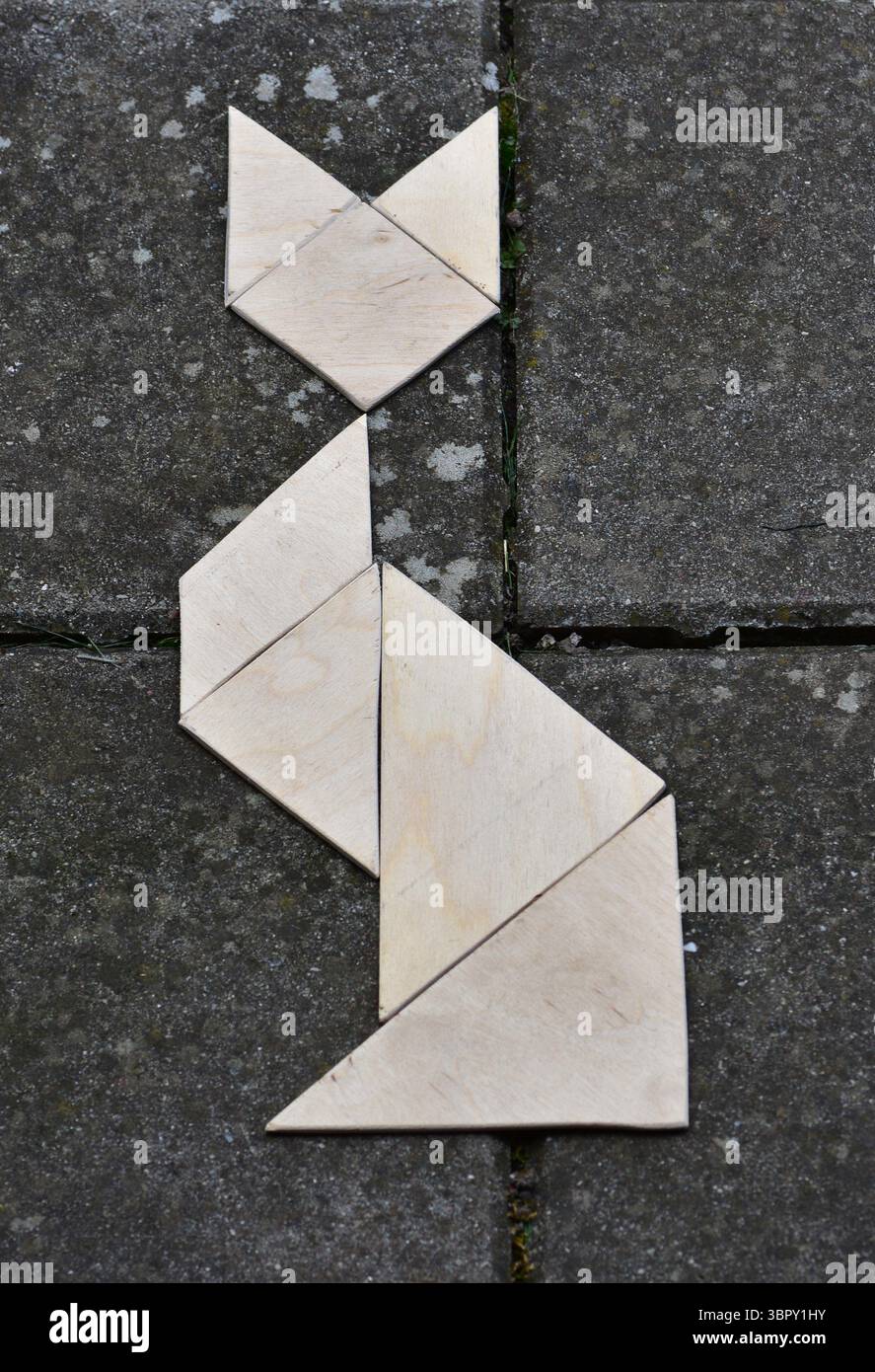 Creativi pezzi di puzzle di tangram in legno disposti a forma di gatto su piastrelle di pietra grigio scuro. Concetto di giocattolo educativo minimalista, che promuove l'immaginazione, g Foto Stock