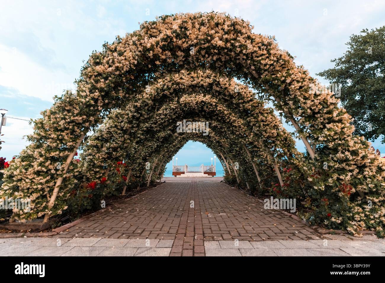 Uno dei luoghi più rilassanti della città, circondato da splendide rose rosse, proprio accanto al teatro. Foto Stock