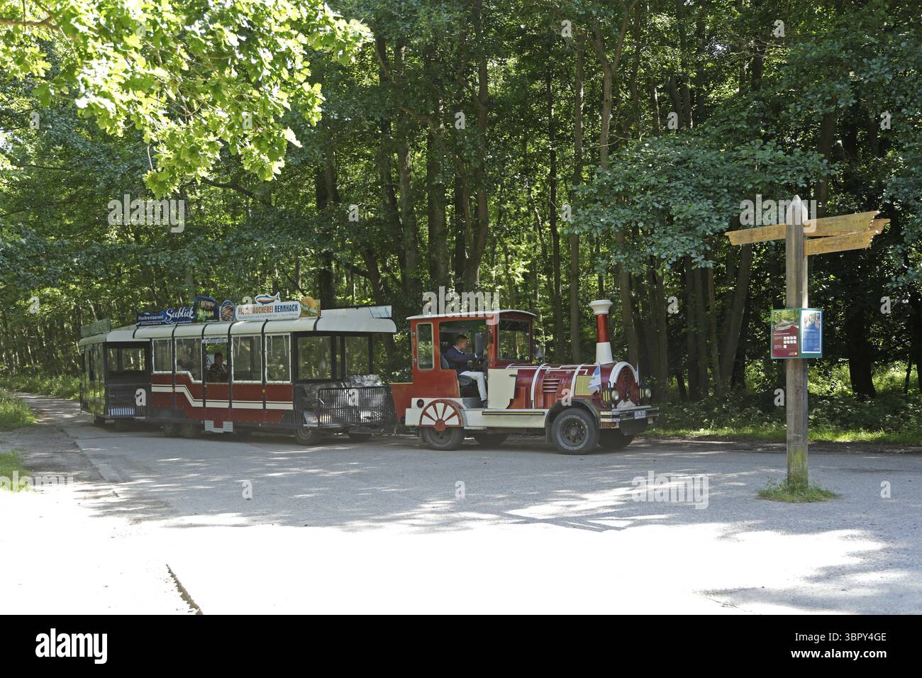 Bimmelbahn, Darssbahn, Darsser Ort stop, nato a. Darss, Vorpommersche Boddenlandschaft National Park, Meclemburgo-Vorpommern, Germania Foto Stock