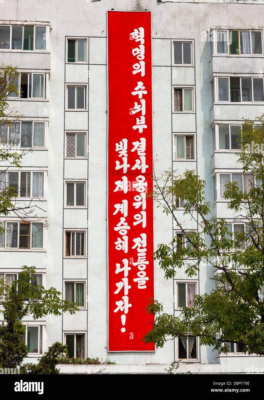 Cartellone propagandistico in strada, DGC, Pyongyang, Corea del Nord Foto Stock