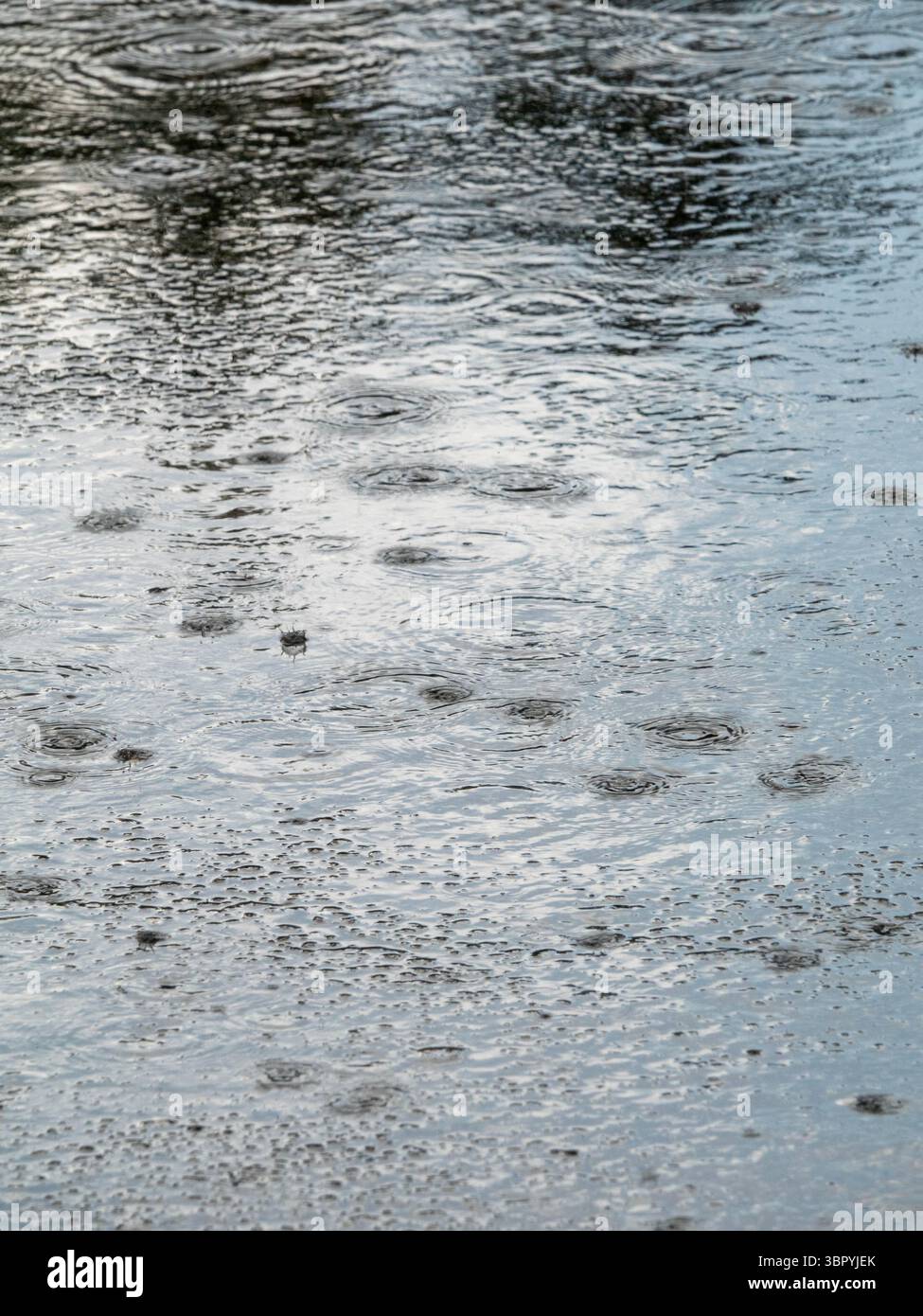 Pioggia intensa sulla strada a, immagine ravvicinata. con le pozzanghere. Foto Stock