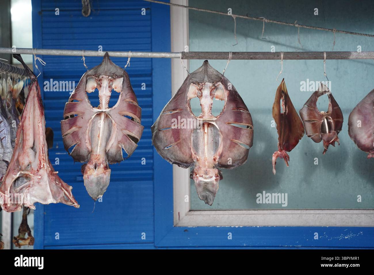 Pesce di skate essiccato al sole appeso all'asciutto in Corea del Sud Foto Stock