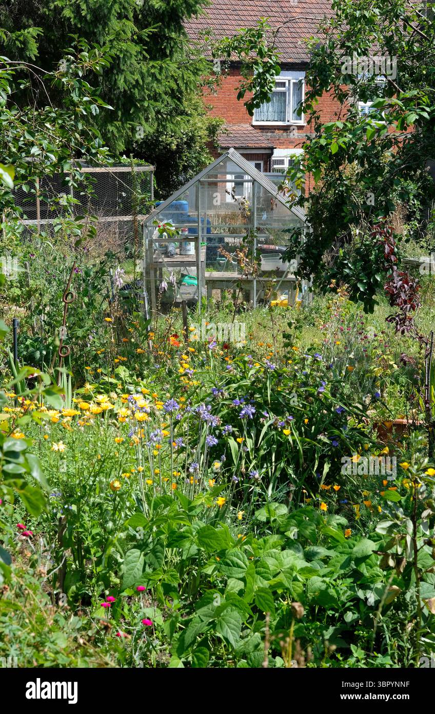 giardino di riparto coperto, melton constable, norfolk settentrionale, inghilterra Foto Stock