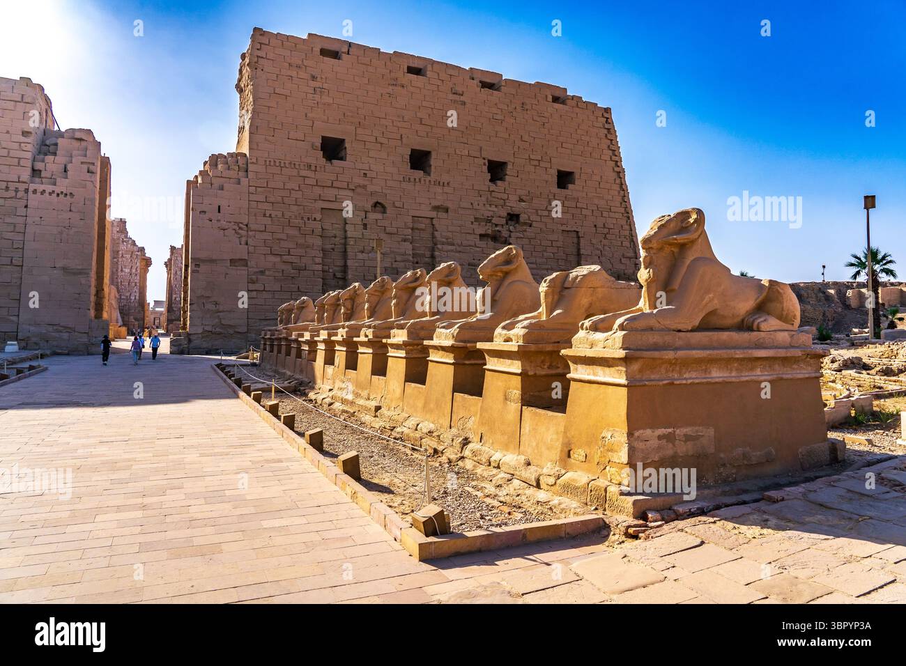 Sfingi criptocefaliche all'ingresso del Tempio di Karnak, primo pilone. Luxor Foto Stock