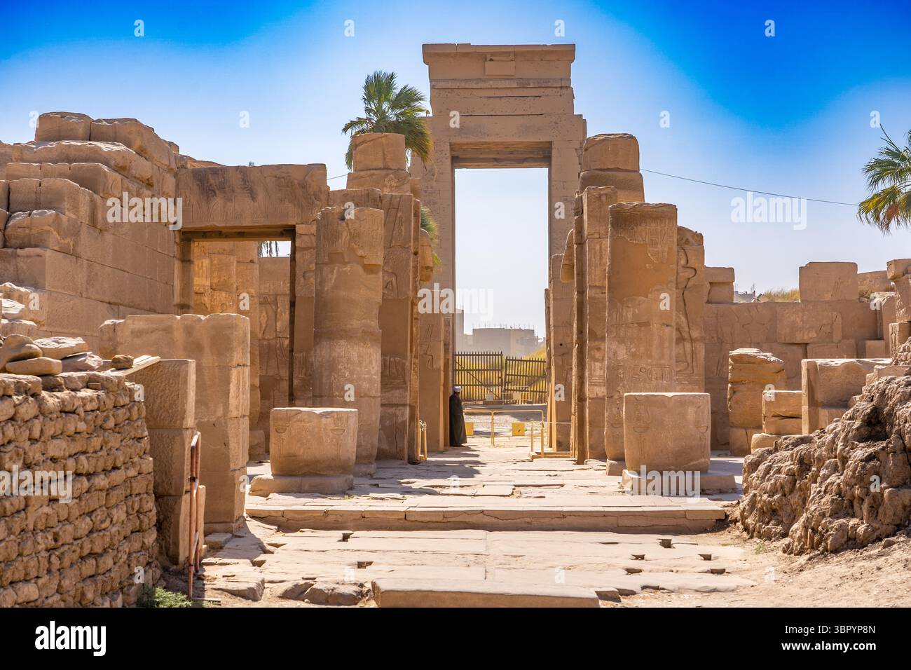 Il menu Akh o il «Giardino Botanico» di Thutmose III. Complesso del tempio di Karnak, Luxor Foto Stock