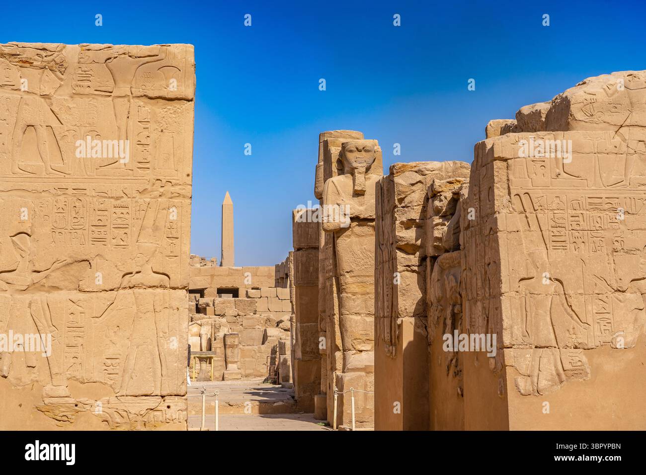Il menu Akh o il «Giardino Botanico» di Thutmose III. Complesso del tempio di Karnak, Luxor Foto Stock