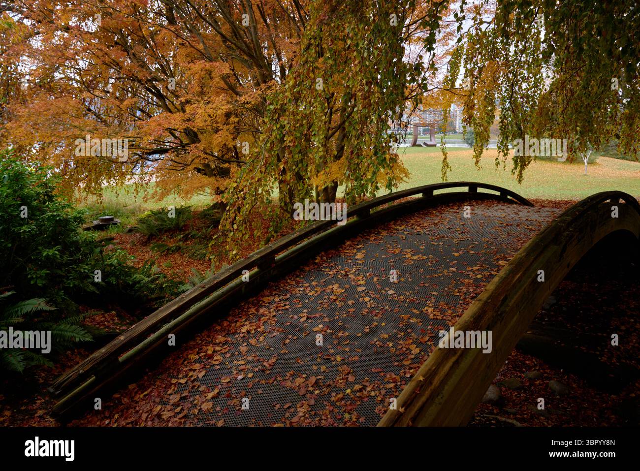 Foglie autunnali del Vanier Park Bridge. Un ponte ad arco su uno dei sentieri di Vanier Park, Vancouver. Foto Stock