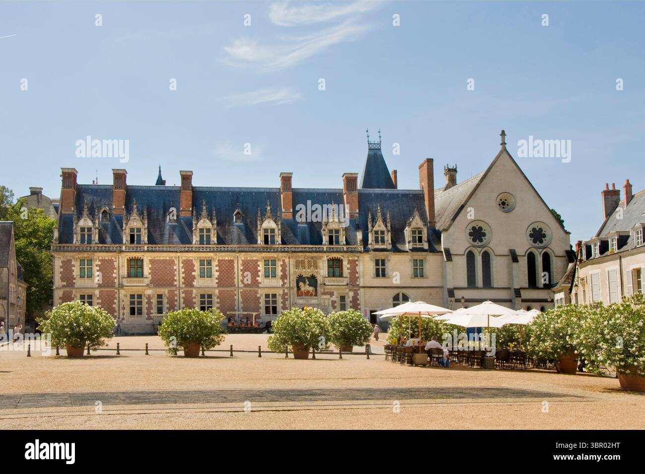 Francia. Valle della Loira. Blois. Castello Foto Stock