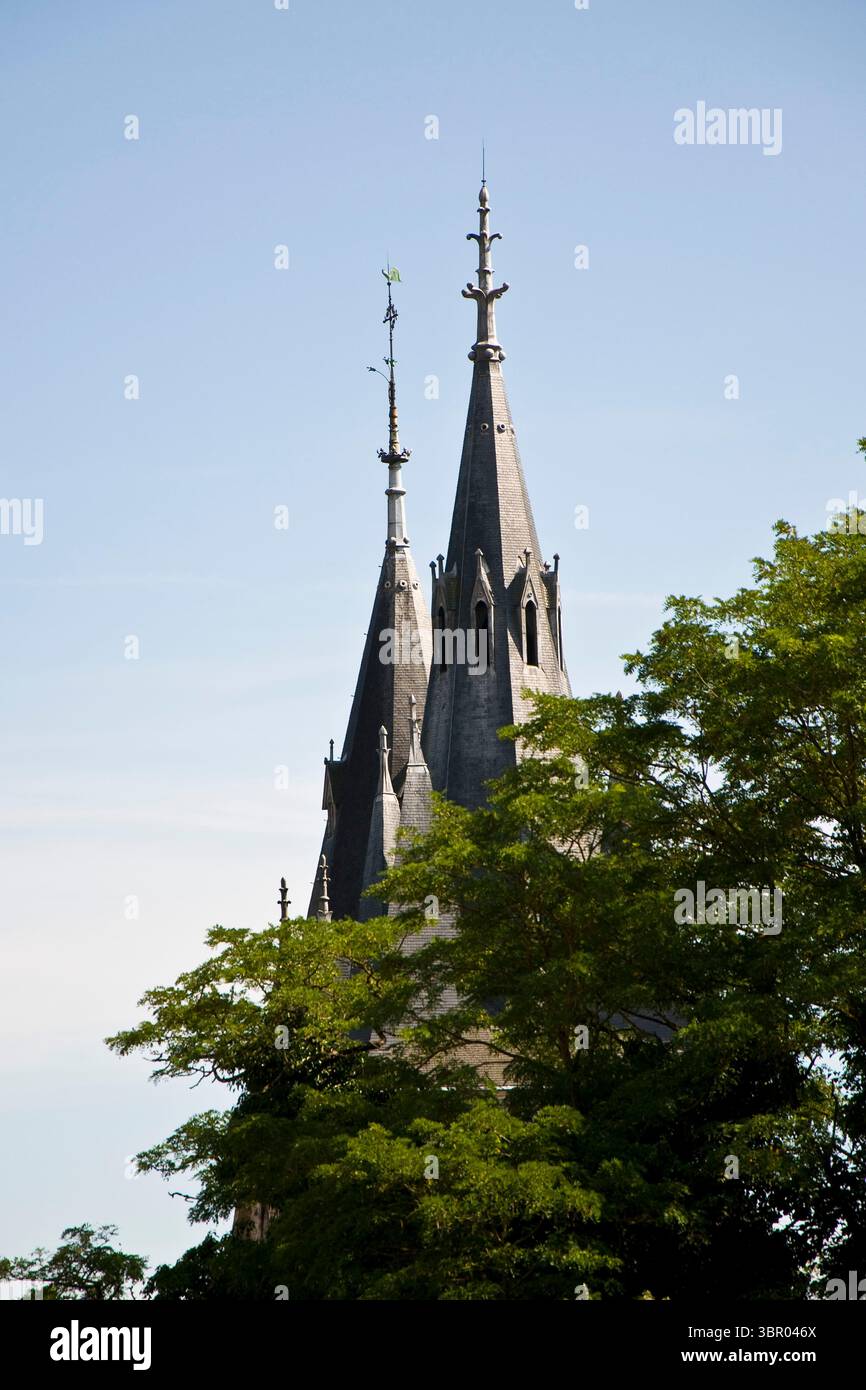 Francia. Valle della Loira. Blois. Castello Foto Stock