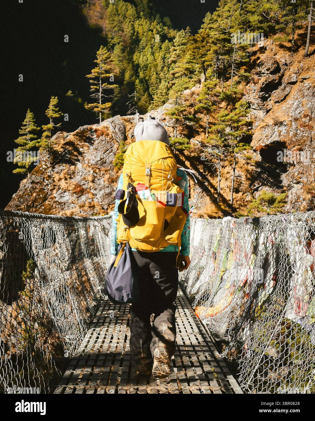 Una giovane escursionista con zaino trasporta rifiuti di plastica raccolti in borsa in natura all'aperto. Sistema di rimozione dei rifiuti. Riportami compagnia Foto Stock