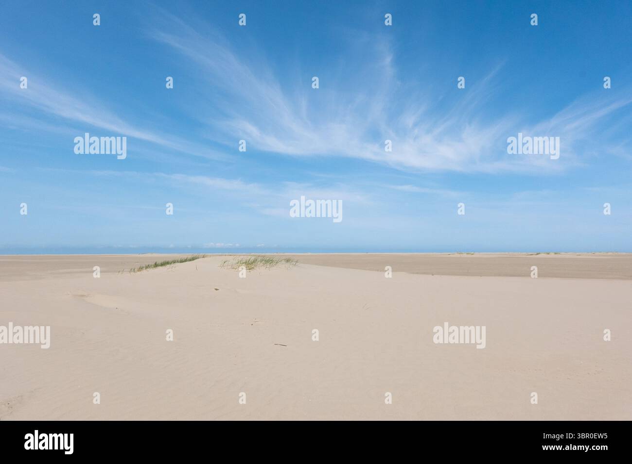 Il Cirrus nuvola sopra la spiaggia, le nuvole piume, fatte di lunghi filamenti di cristalli di ghiaccio Foto Stock Il Cirrus nuvola sopra la spiaggia, le nuvole piume, fatte di lunghi filamenti di cristalli di ghiaccio Foto Stock