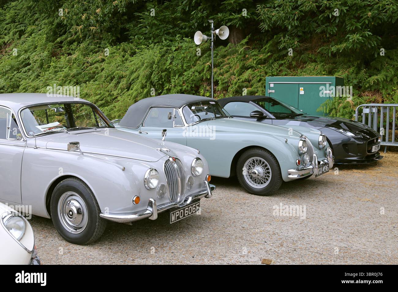 Jaguar Mk2 2,4 (1968), Jaguar XK150 e Jaguar F-Type, Jaguar Breakfast Club, 5 luglio 2025, Brooklands Museum, Weybridge, Surrey, Inghilterra, Regno Unito, Europa Foto Stock