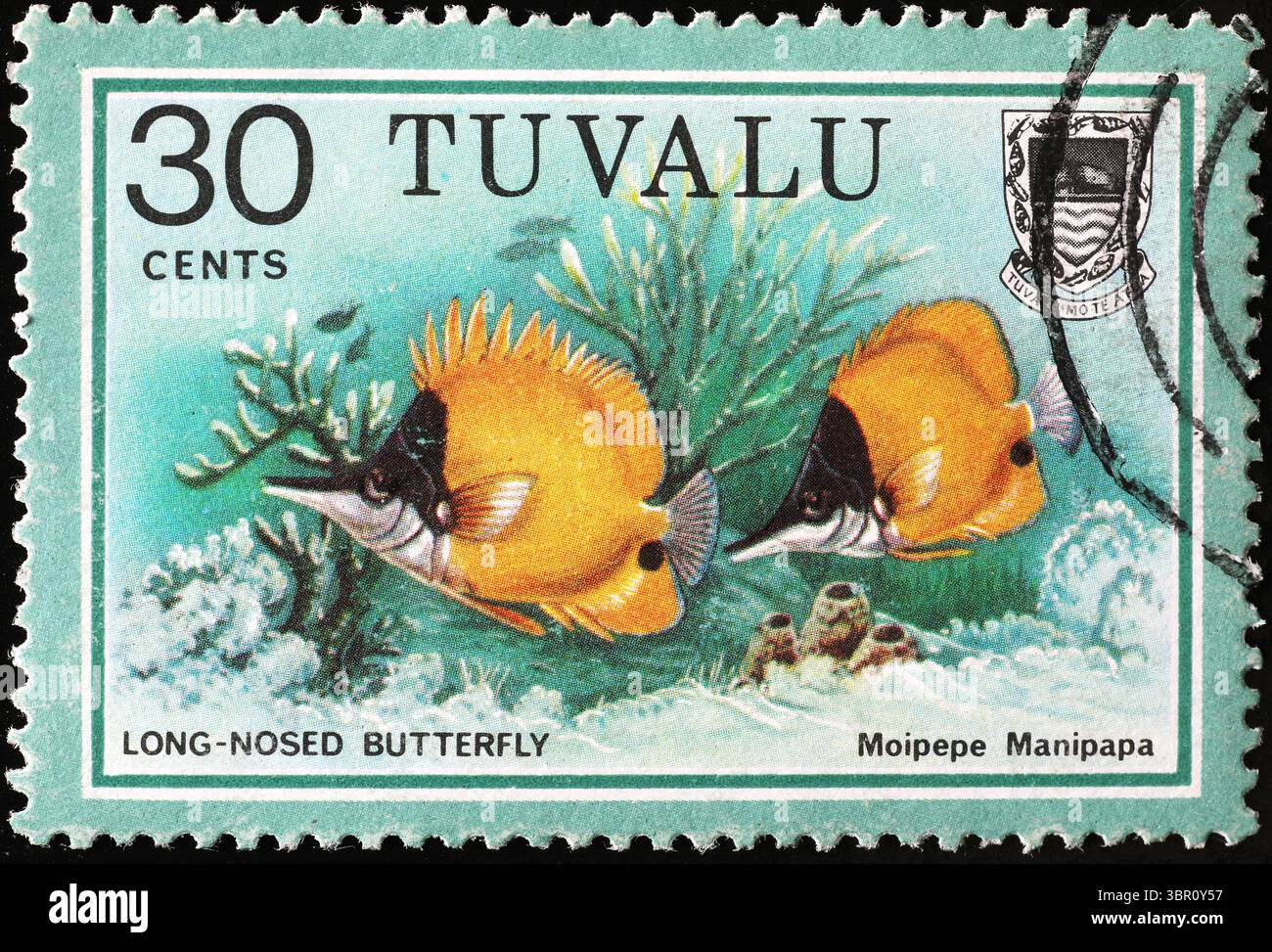 Pesce tropicale farfalla dal naso lungo sul francobollo di Tuvalu Foto Stock