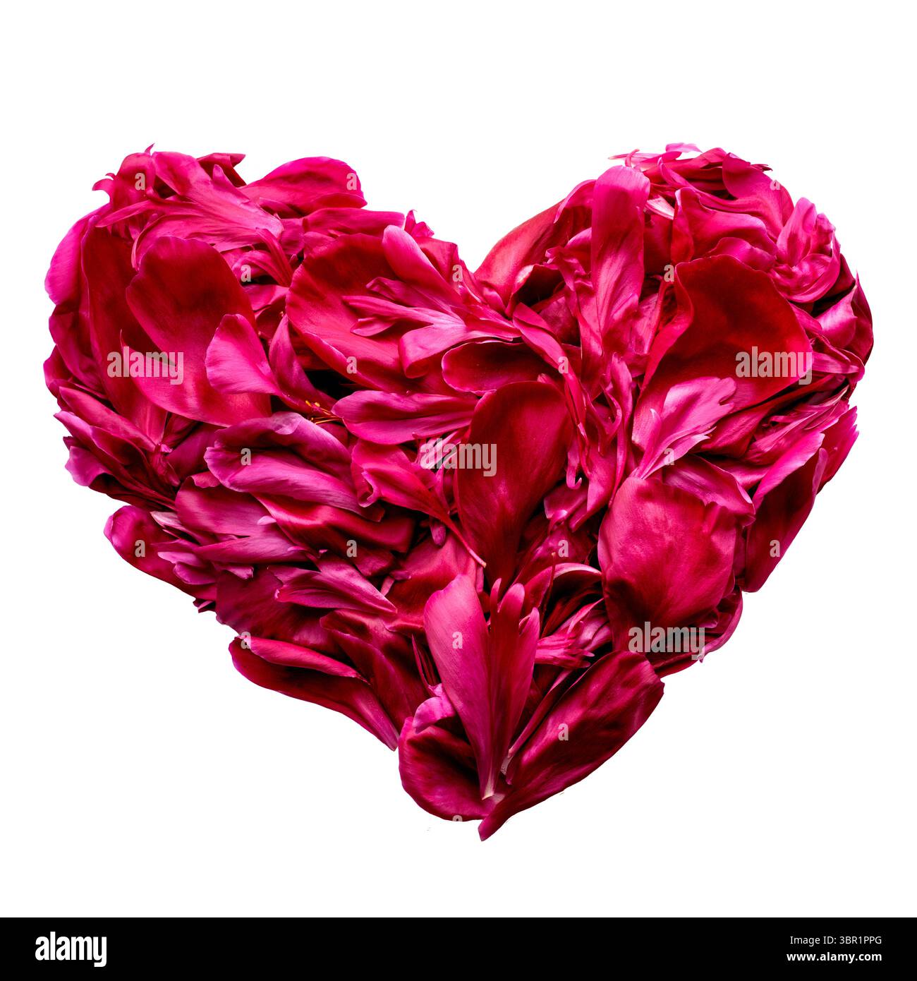 Love Set Palloncini Rossi A Cuore Con Petali – Decorazione Romantica Per Proposte Di Matrimonio E San Valentino