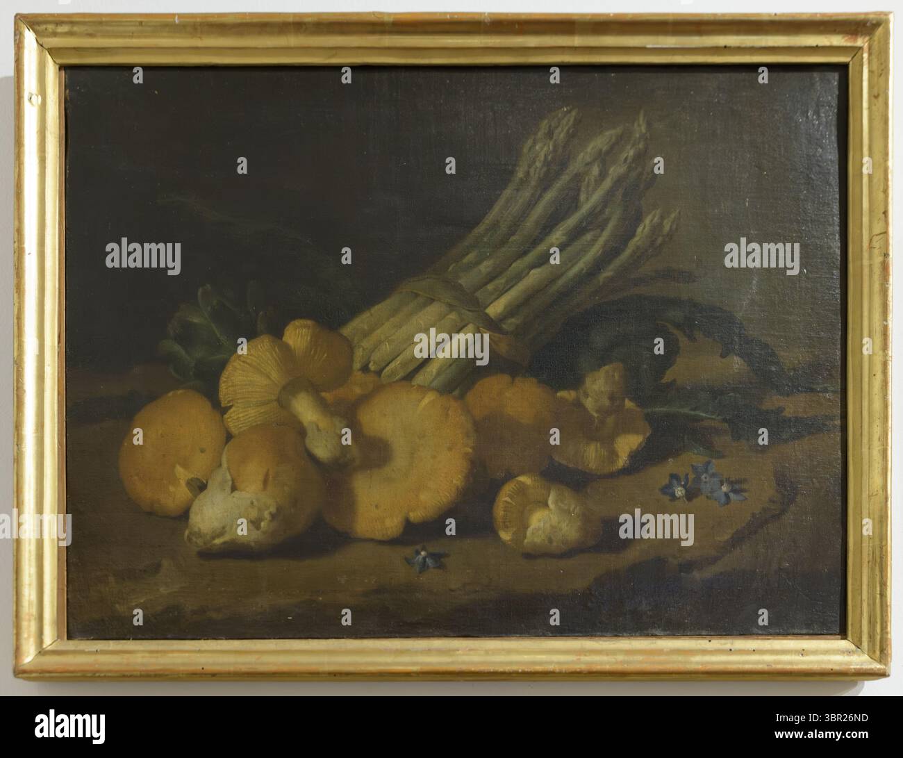 Un dipinto di asparagi e funghi olandese del XVII secolo, parte della collezione del Museo Civico di Padova. Foto Stock