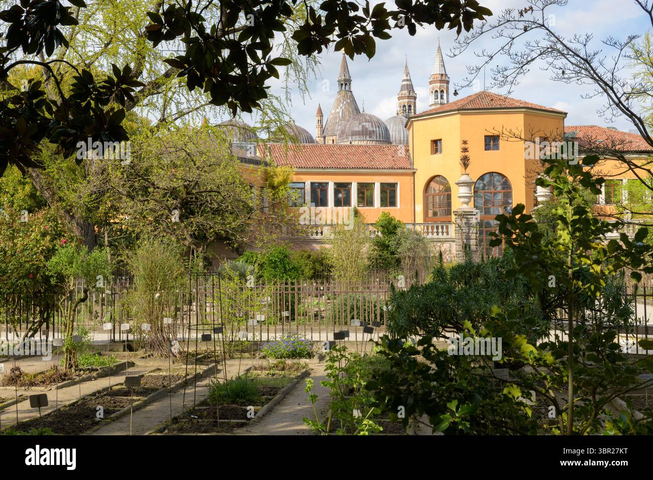 Vista del Giardino Botanico di Padova, caratterizzato da un giardino splendidamente paesaggistico con file di piante e alberi in primo piano e archi storici Foto Stock