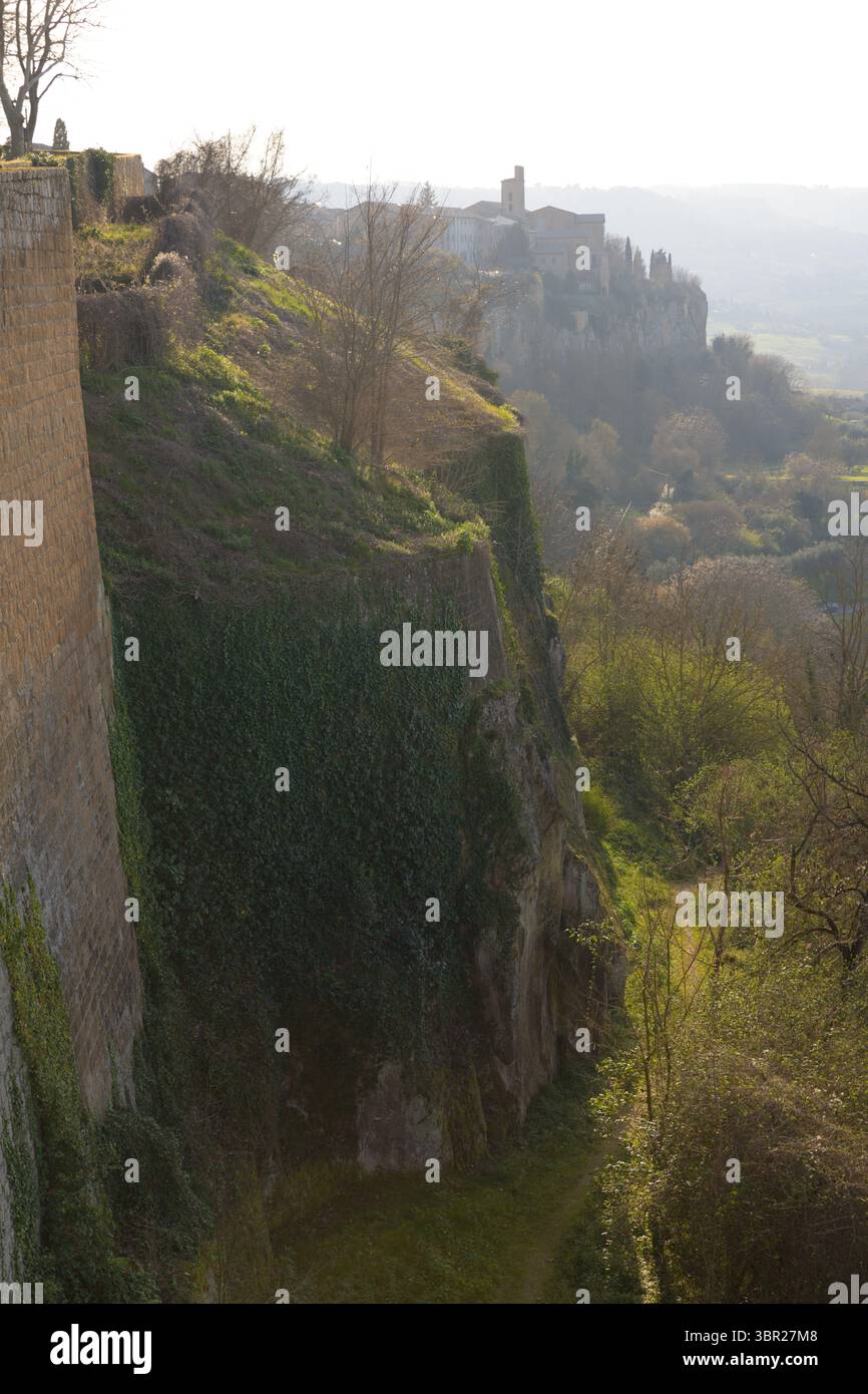 Vista panoramica di Orvieto, Italia, con torreggianti alberi, edifici tradizionali e dolci colline sullo sfondo. Foto Stock