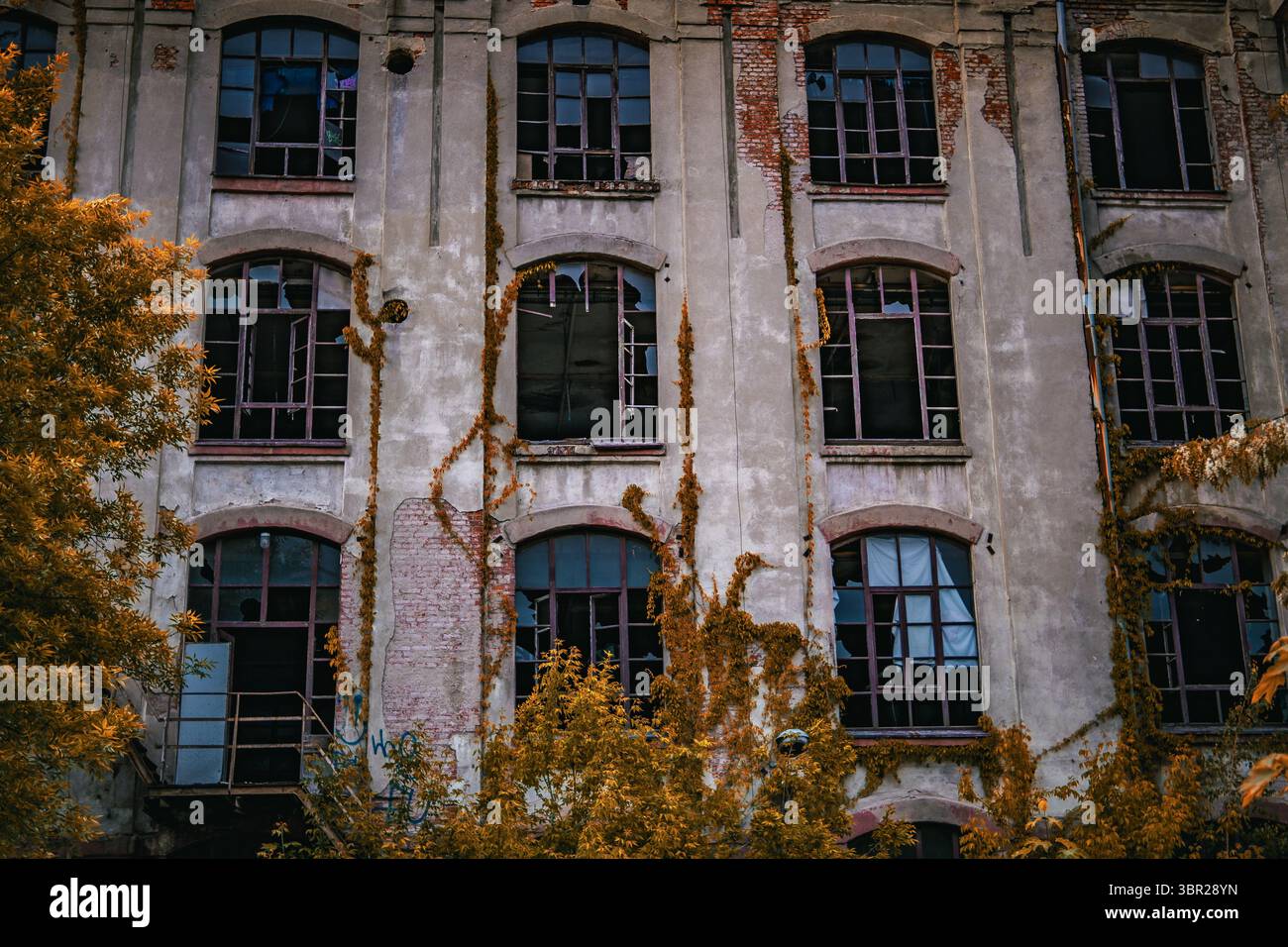 Vecchio edificio industriale con finestre rotte e viti sovrastate sulla facciata. I colori autunnali aggiungono contrasto alla struttura in decadimento. Foto Stock