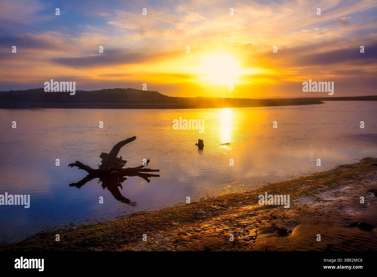 Spettacolare Sunset Salmon Beach, Sonoma, California Foto Stock