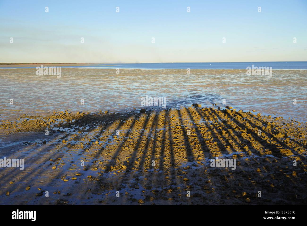 Jetty Piles lancia un'ombra su Mud Flats Foto Stock
