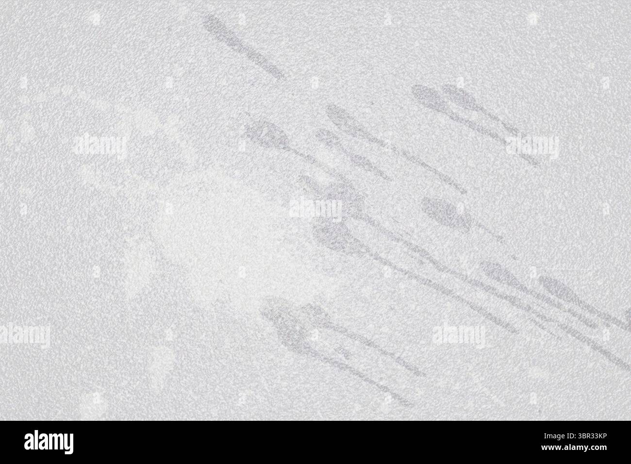 Illustrazione del gatto, primo piano Foto Stock