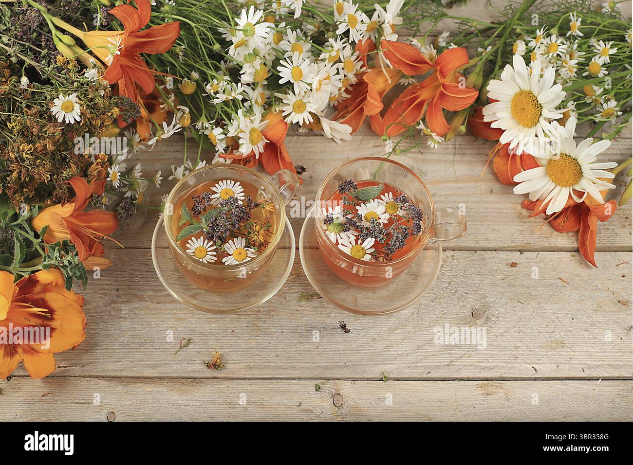 Camomilla e tè alle erbe alla menta, origano e hypericum, concetto di medicina alternativa, sfondo autunnale, set di piante medicinali, erbe selvatiche sono utilizzati Foto Stock