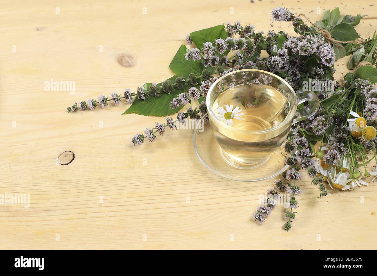 Set di piante medicinali, camomilla e tè alle erbe alla menta, concetto di medicina alternativa e cosmetici naturali, background, erbe medicinali sono utilizzati Foto Stock