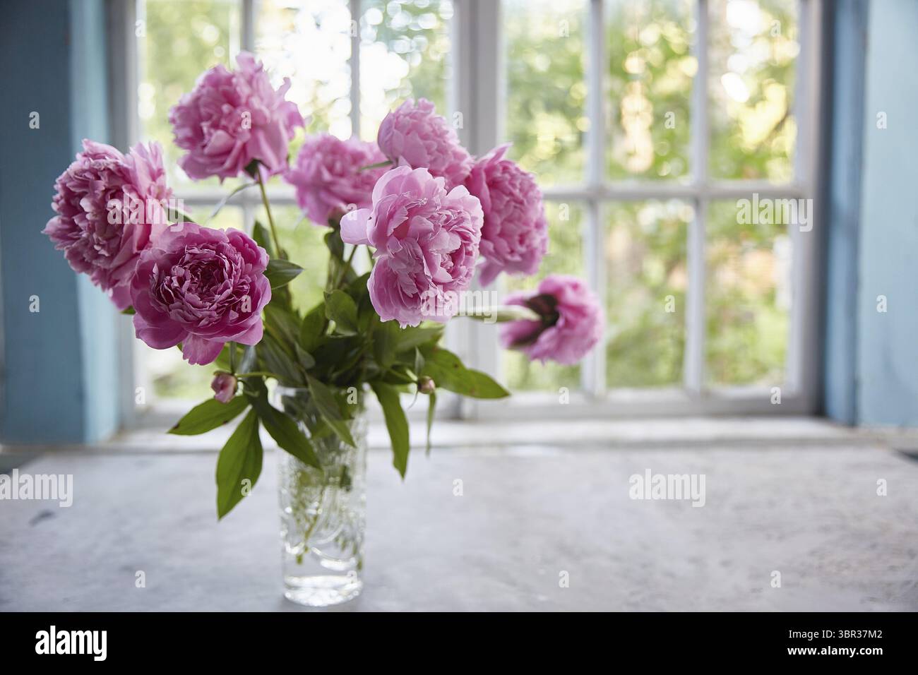 Peonie in un vaso sul tavolo sullo sfondo della finestra. Spazio di copia Foto Stock