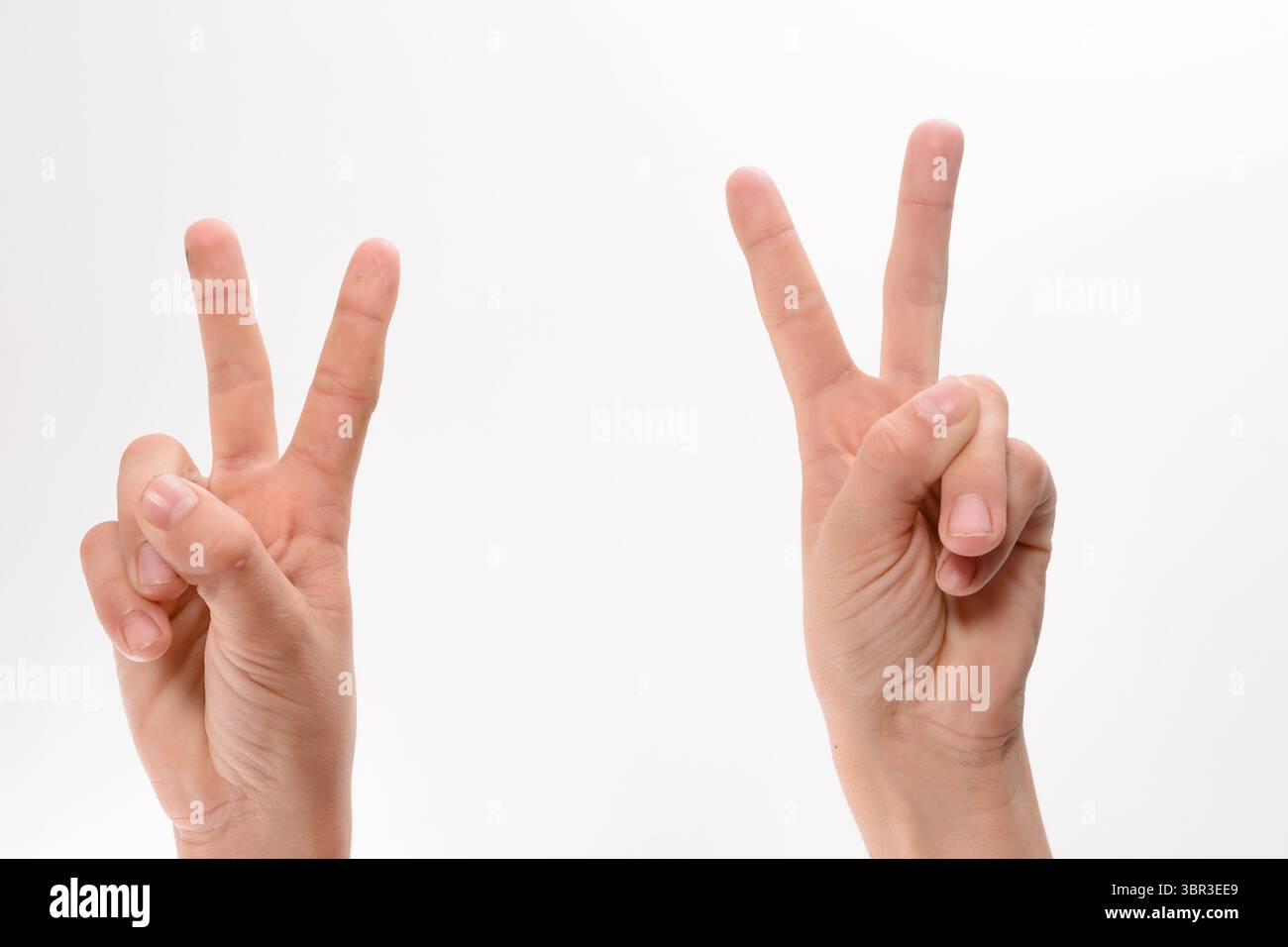 Primo piano di due mani che mostrano il segno di pace, su uno sfondo bianco. L'immagine è semplice e versatile, ideale per vari progetti Foto Stock