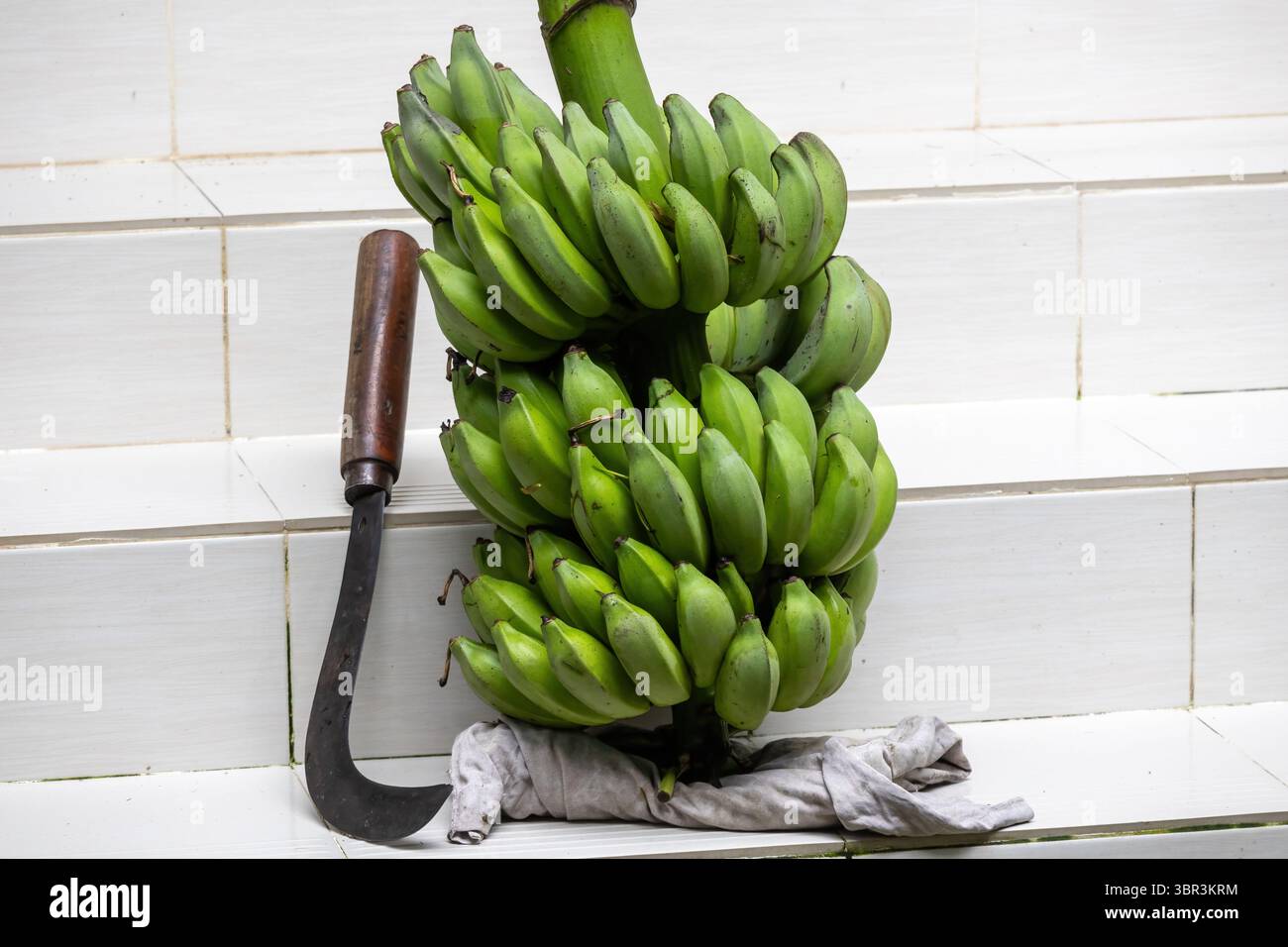 Banane verdi appena raccolte dall'albero, accompagnate da un tradizionale chopper comune nei villaggi del Bangladesh. Utilizzato per vari tagli essenziali t Foto Stock