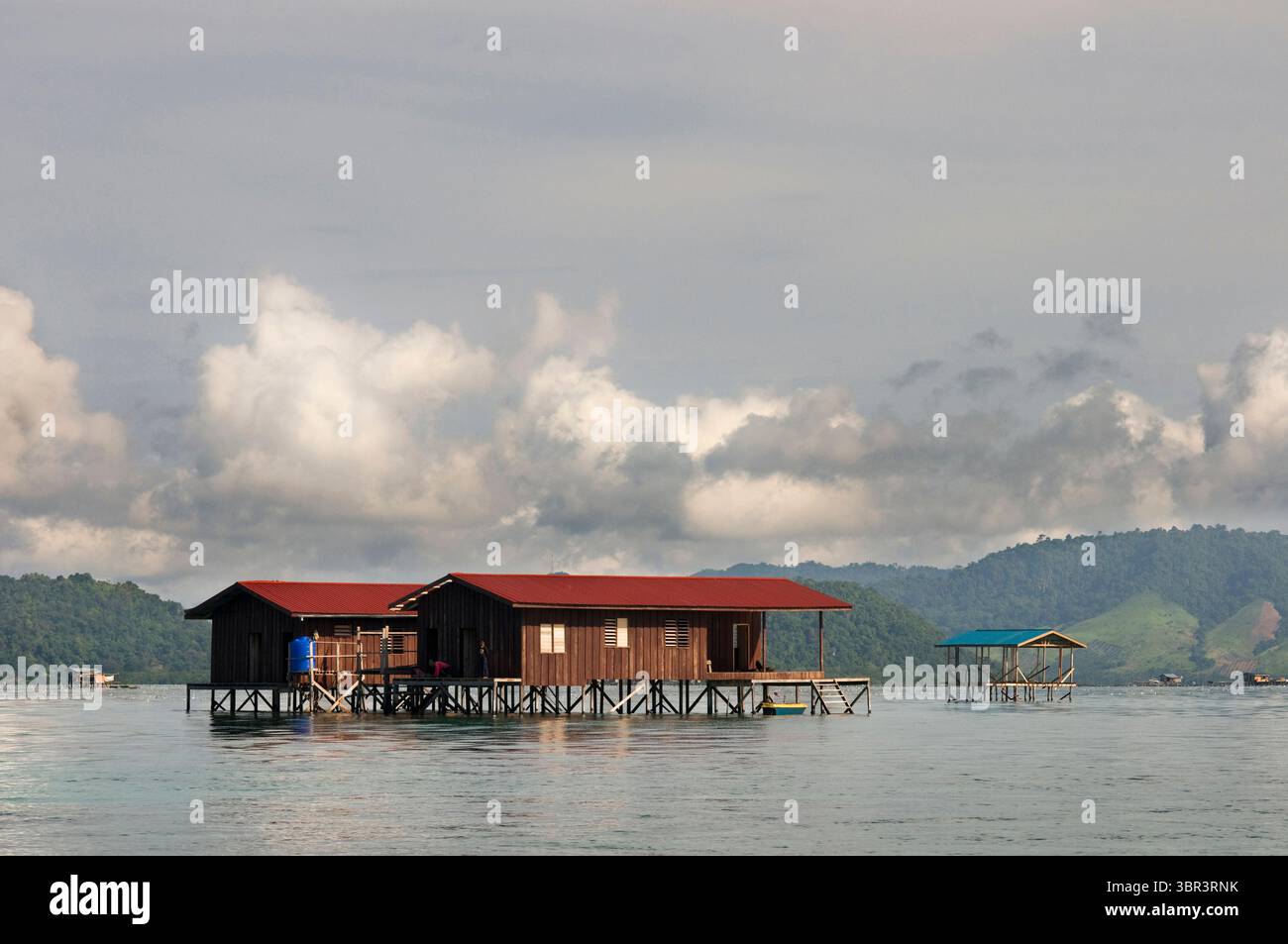 2 agosto 2008, Mabul, Borneo, Malesia: Isola di Pulau Mabul a Sabah, Borneo, Malesia orientale. Alcune case galleggianti utilizzate dai pescatori dell'isola di Mabul Pualu. Aragosta. Seguirono immersioni nelle pareti dominate da grandi gorgonie e una sfilata continua di pesci pipistrello di mare. E' un luogo dove non dobbiamo perdere di vista il blu, dato che vicino a South Point è uno dei posti migliori per vedere gli squali martello; tipo Sphyrna lewini; che può formare gruppi di più di 50 individui. Se la temperatura dell'acqua è alta; come spesso accade a Sipadan, andiamo a livelli profondi. Se si dispone di un di tecnico di qualifica adeguato Foto Stock