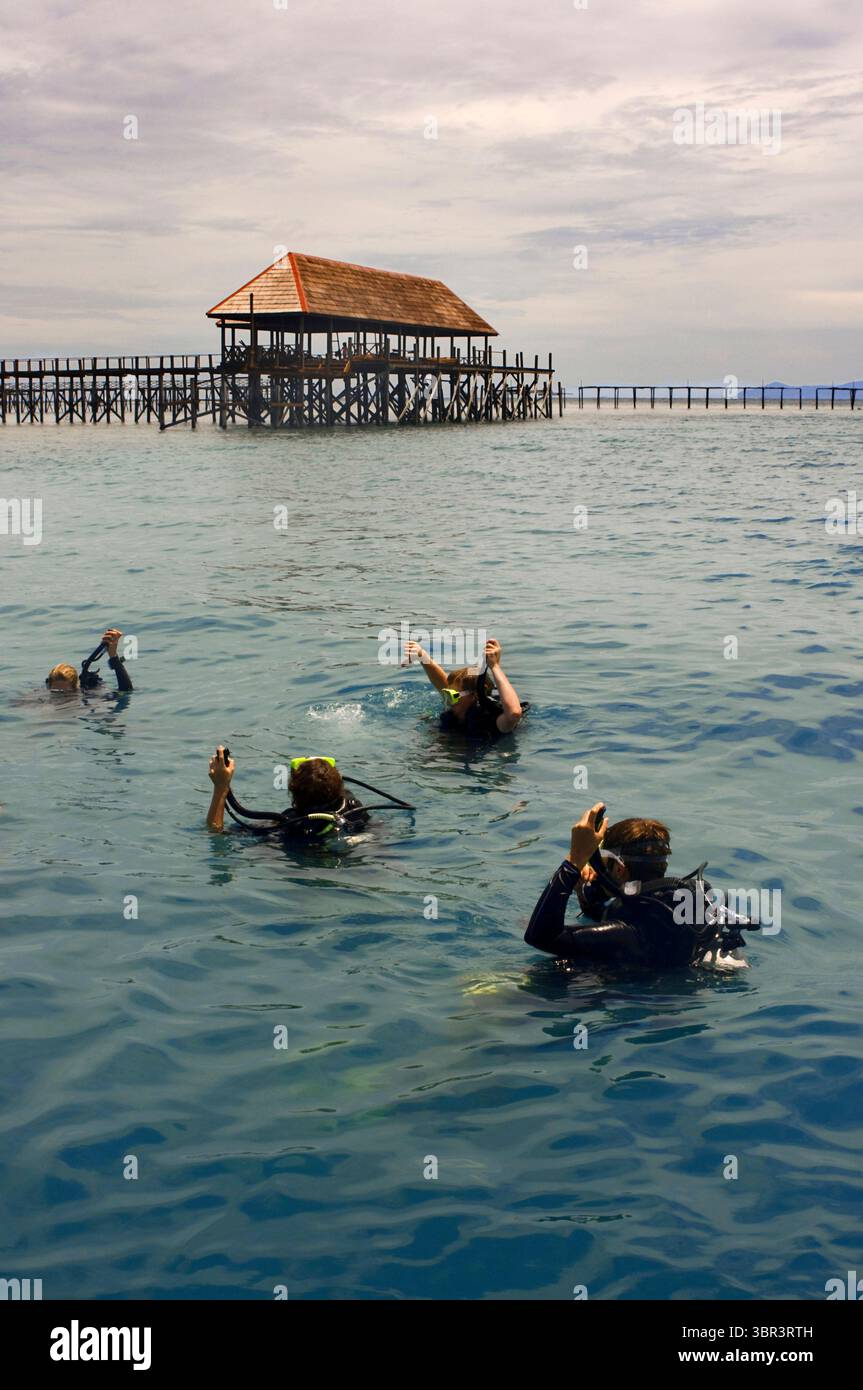 18 maggio 2010, Mabul, Borneo, Malesia: Isola di Pulau Mabul a Sabah, Borneo, Malesia orientale. Diversi subacquei iniziano un tuffo nelle vicinanze dell'isola di Mabul, la House Reef. Questo sito di immersione si trova direttamente di fronte al resort Mabul Water Bungalows; ed è accessibile dal proprio molo o barca; se è alloggiato in un'altra struttura. A prima vista sembra un punto di non grande interesse; con un fondo sabbioso e una visibilità regolare; ma entro pochi secondi dall'immersione ci rendiamo conto che questa immersione è la migliore a Mabul; ma allo stesso tempo la più peculiare che possiamo eseguire. Già sotto il molo W. Foto Stock
