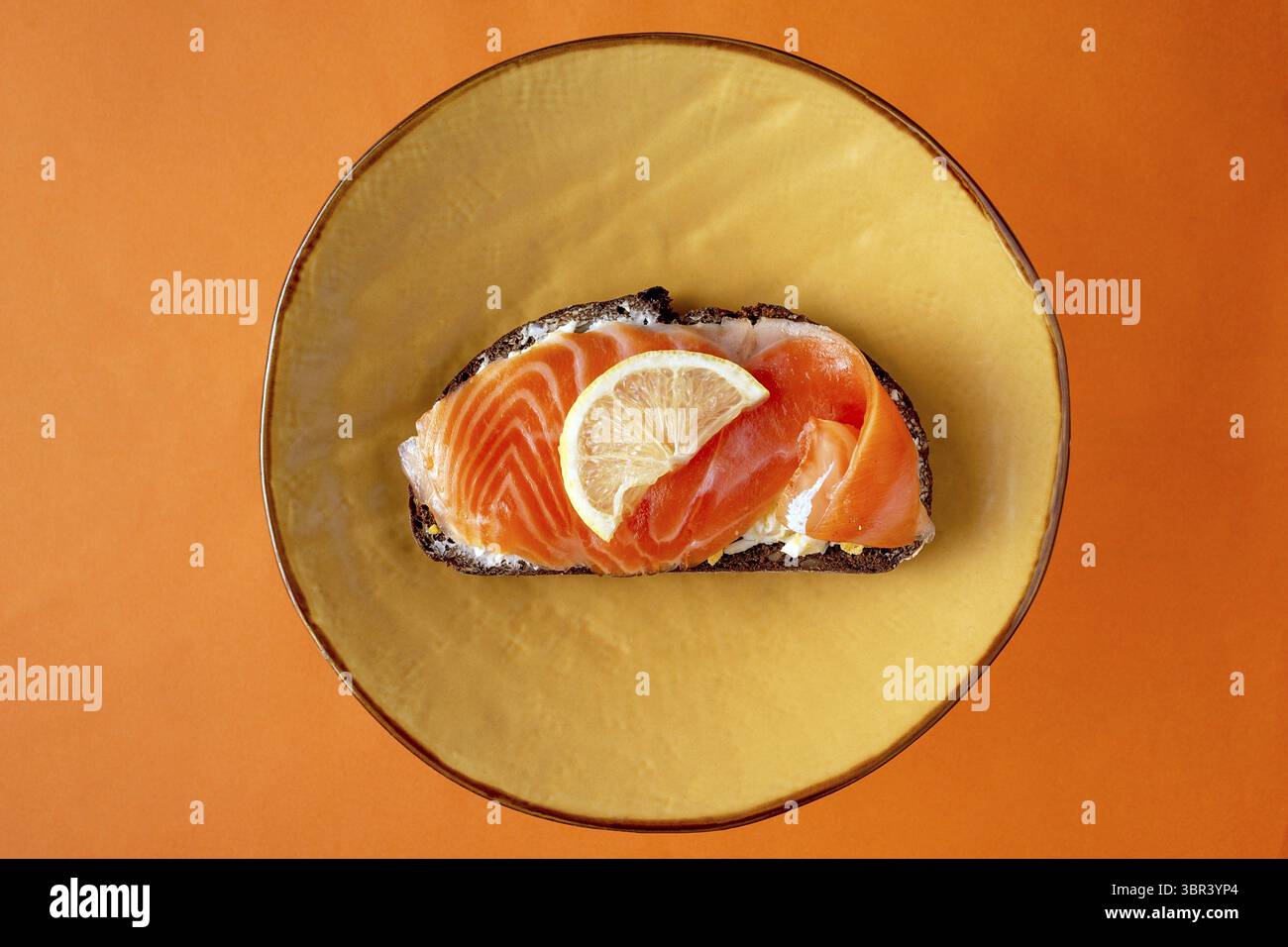 Panini con formaggio, trota salata, pomodoro, cetriolo su fondo bianco in legno Foto Stock