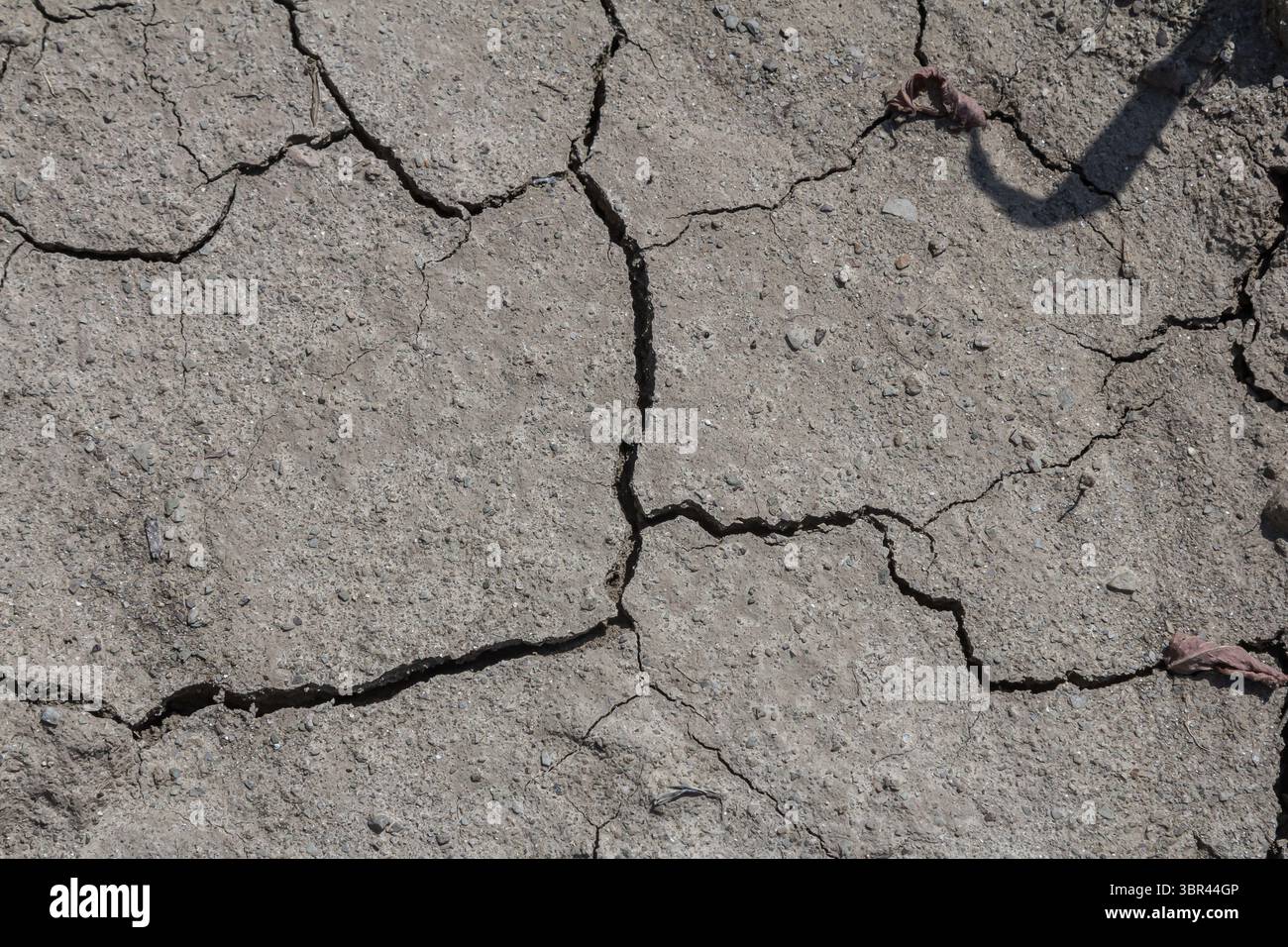 La terra incrinata e asciutta mostra gli effetti di una siccità prolungata sottolineando le sfide che le comunità agricole e gli ecosistemi devono affrontare nell'acqua-sca Foto Stock