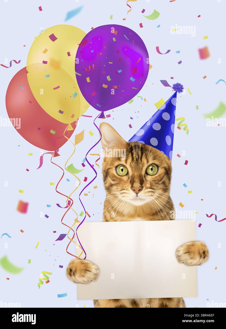 Sfondi del desktop coniglio Cuccioli di animali Palloncino Cappello