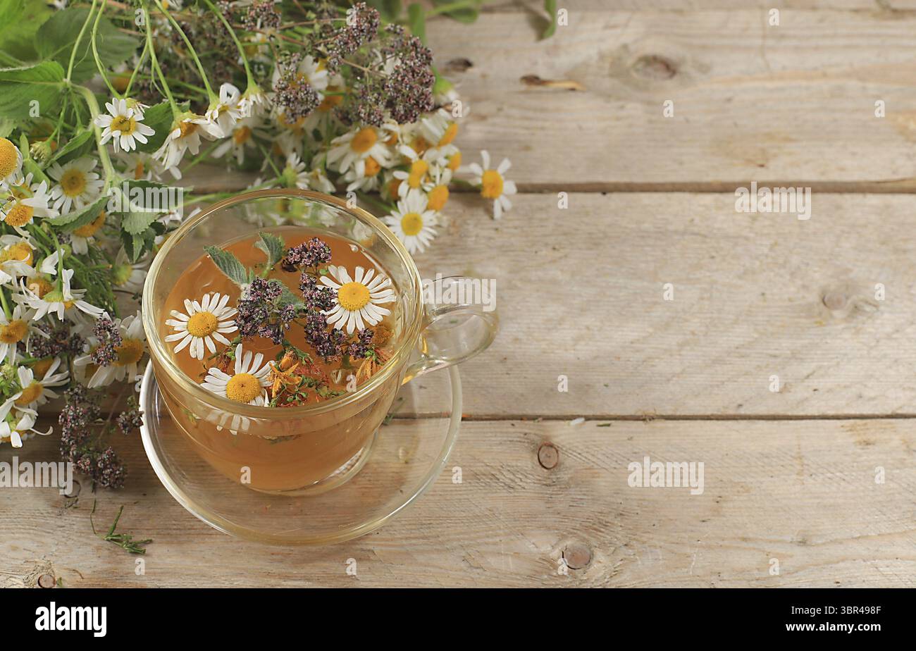 Camomilla e tè alle erbe alla menta, origano e hypericum, concetto di medicina alternativa, sfondo autunnale, set di piante medicinali, erbe selvatiche sono utilizzati Foto Stock